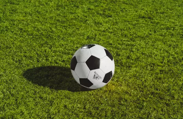 A football on a green football pitch