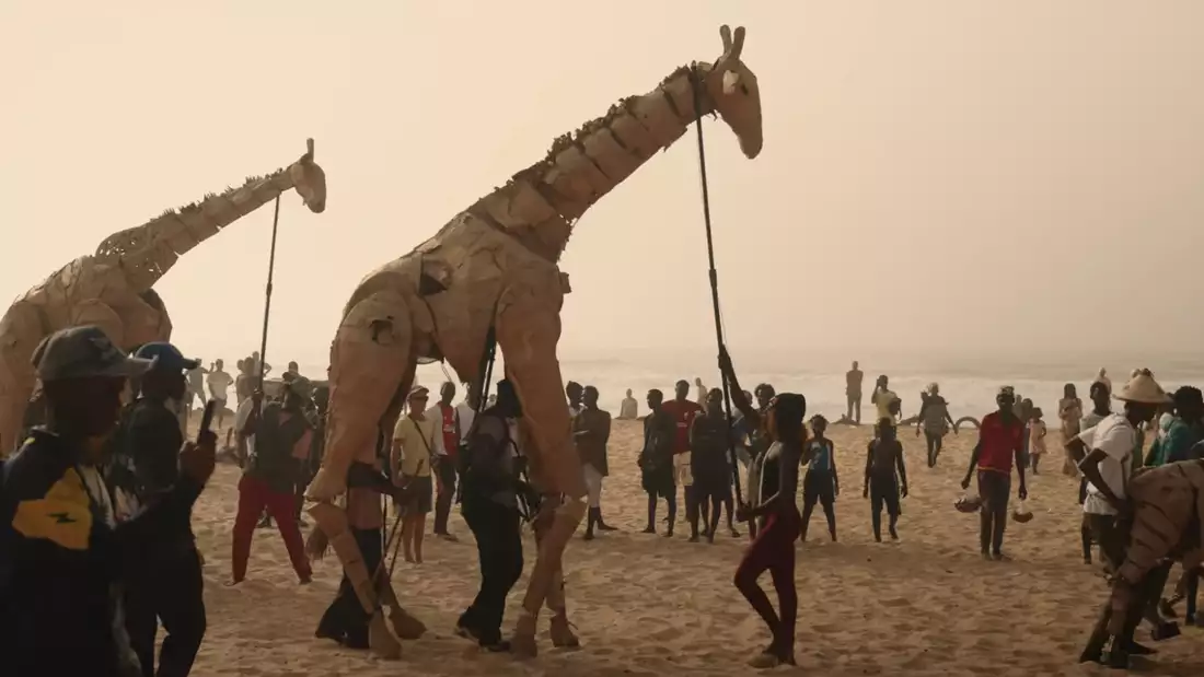 The Herds Dakar